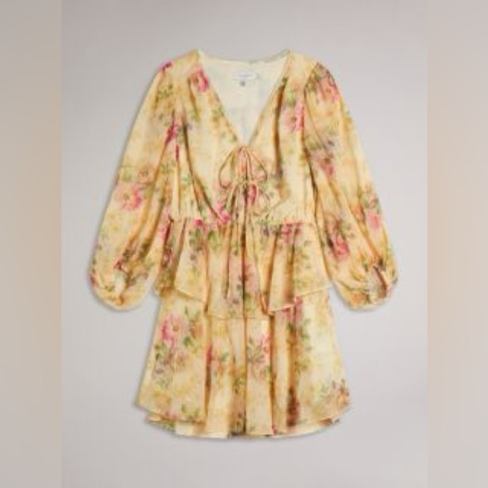Ted Baker Tamziiy Floral Print Tie Front Mini Dress - Picture 5 of 11